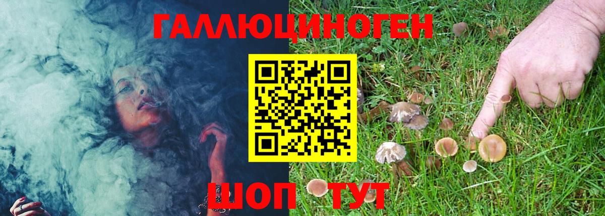 Псилоцибиновые грибы Cubensis Керчь